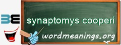 WordMeaning blackboard for synaptomys cooperi